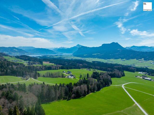 Immobilie in Thalgauberg - Ankommen, aufblühen, Zuhause sein - Ihr Familienglück am Thalgauberg - Bild 2