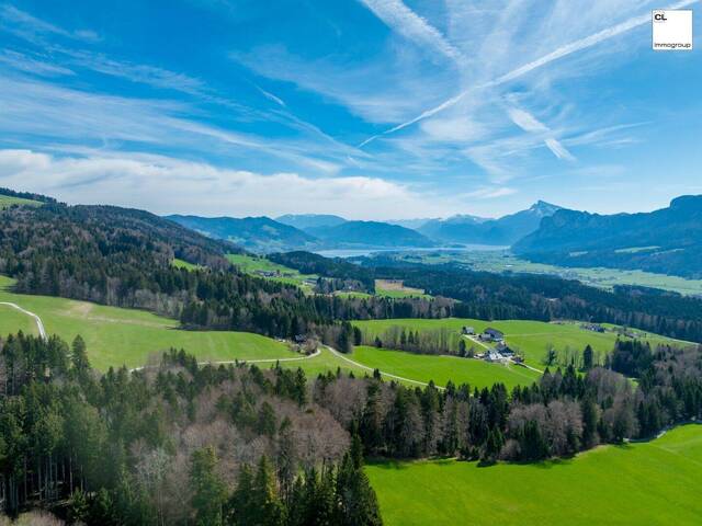 Immobilie in Thalgauberg - Ankommen, aufblühen, Zuhause sein - Ihr Familienglück am Thalgauberg - Bild 3