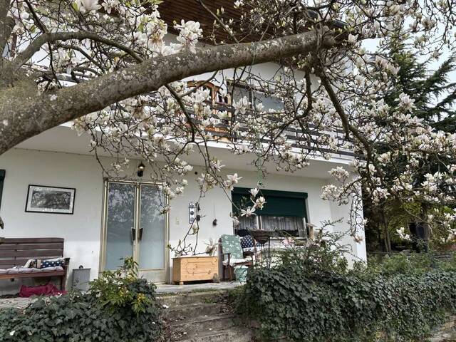Immobilie in Hannersdorf - Gemütliches Wohnhaus mit Garten! - Bild 4