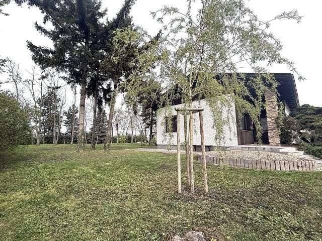 Immobilie in Seibersdorf - Sehr gepflegter Bungalow in Ruhelage mit wunderschönem Garten -Seibersdorf! - Bild 0