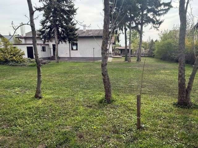 Immobilie in Seibersdorf - Sehr gepflegter Bungalow in Ruhelage mit wunderschönem Garten -Seibersdorf! - Bild 2