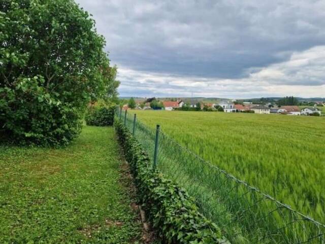 Immobilie in Würnitz - Ländliche Idylle mit Potenzial - Einfamilienhaus auf 1.354 m² in absoluter Ruhelage - Bild 2