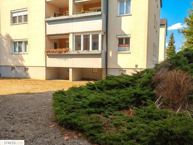 Immobilie in Stockerau - Verkauf mittels BIETERVERFAHREN Leistbare 3 Zimmer Wohnung mit verglaster Loggia - Wohnung mit viel Potenzial zum Selbstverwirklichen! - Bild 1