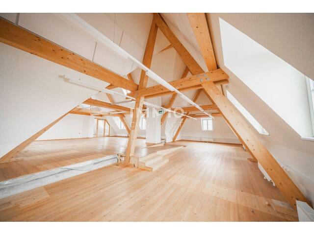 Immobilie in Mannswörth - Außergewöhnliche Wohnung in revitalisiertem Schloss nahe Wien - Bild 3