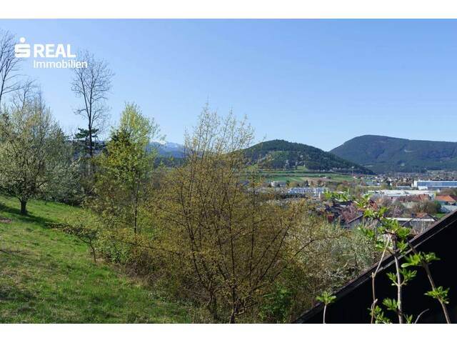 Immobilie in Altendorf - Wunderschöner Ausblick auf die umliegenden Hausberge - 107m² Wohnhaus plus 100m² Stall, Scheune und Altbestand! - Bild 0
