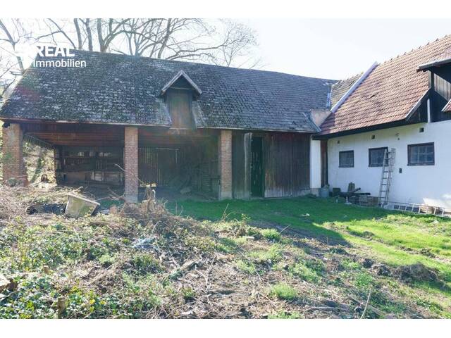 Immobilie in Altendorf - Wunderschöner Ausblick auf die umliegenden Hausberge - 107m² Wohnhaus plus 100m² Stall, Scheune und Altbestand! - Bild 4