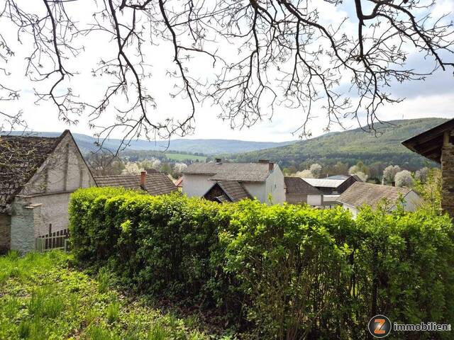 Immobilie in Liebing - Gepflegtes Ein-Zweifamilienhaus mit hoher Privatsphäre und Ausblick! - Bild 1