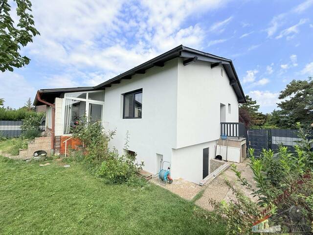 Immobilie in Sollenau - Bungalow in Top Lage von Sollenau - Bild 1