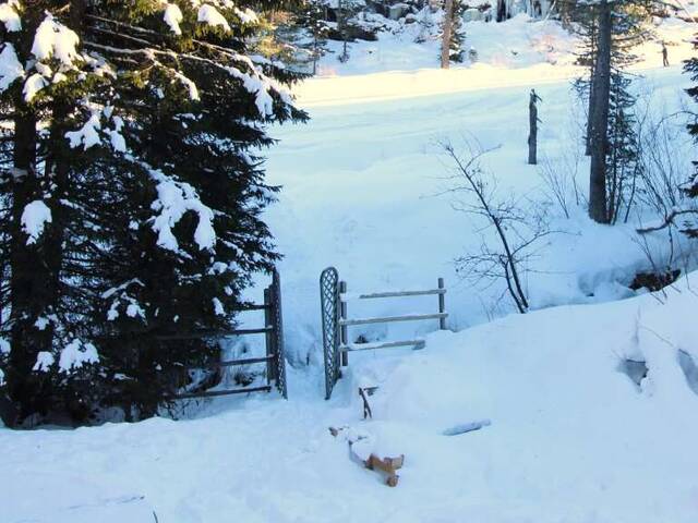 Immobilie in Turrach - Turracher Höhe- Natur Pur genießen - Almhütte/Berghütte - Skifahren - Wandern in absoluter Traumlage - Bild 4