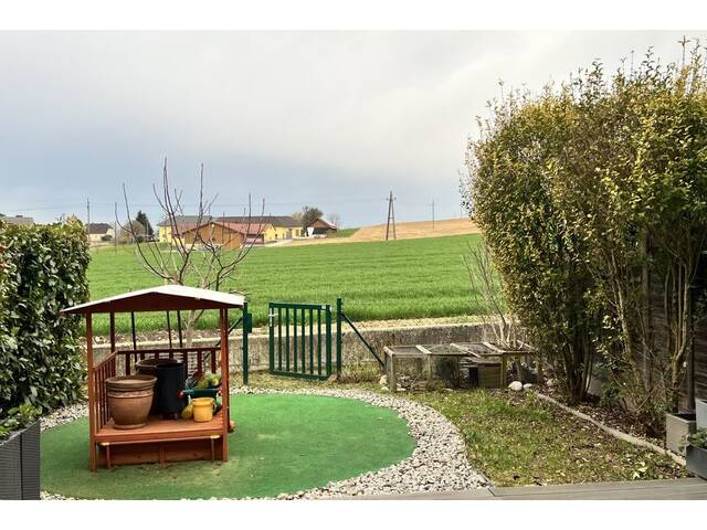 Immobilie in Luftenberg - Niedrigenergie Reihenhaus in Luftenberg - Bild 3