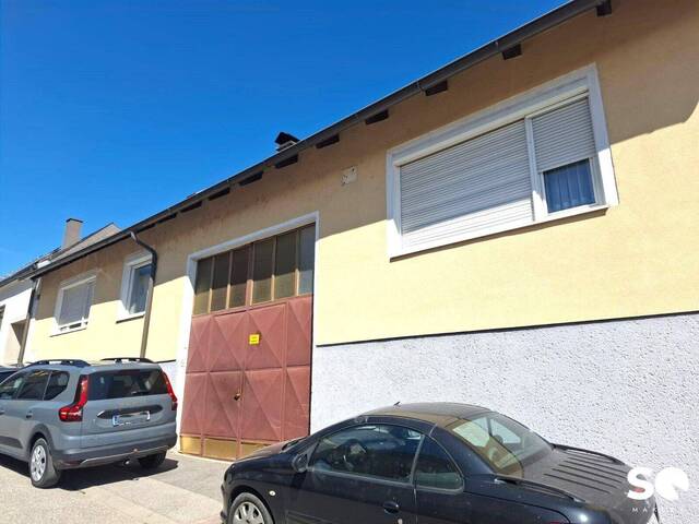 Immobilie in Draßburg - #SQ - DRASSBURG: EHEMALIGES BAUERNHAUS MIT HALLEN ALS LAGERFLÄCHEN ODER WERKSTATT - SANIERUNGSBEDÜRFTIG - Bild 0
