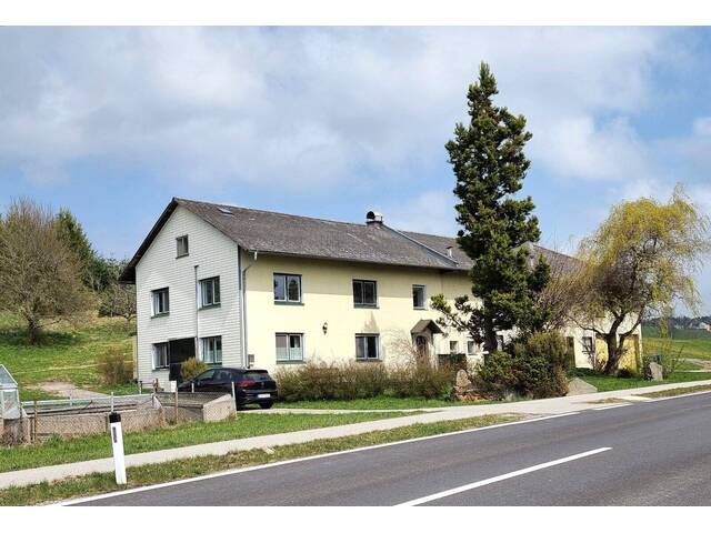 Immobilie in Haibach im Mühlkreis - Ehemaliges Sacherl mit 3,8 ha Grund - 14 km von Linz Auhof - davon 1805 m² Bauland (Dorfgebiet) - Bild 3