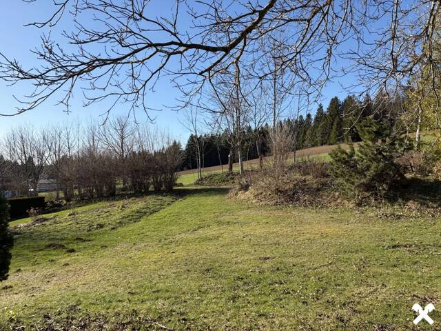 Immobilie in Schwarzenberg am Böhmerwald - Mehr Ruhe - mehr Natur - mehr Leben – Zuhause im Einklang mit der Natur - Bild 3