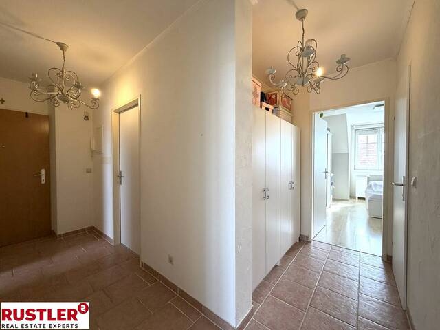 Immobilie in Pfaffstätten - Dein Platz an der Sonne - 3 Zimmer Terrassenwohnung - Bild 1