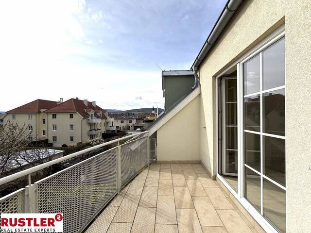 Immobilie in Pfaffstätten - Dein Platz an der Sonne - 3 Zimmer Terrassenwohnung - Bild 3