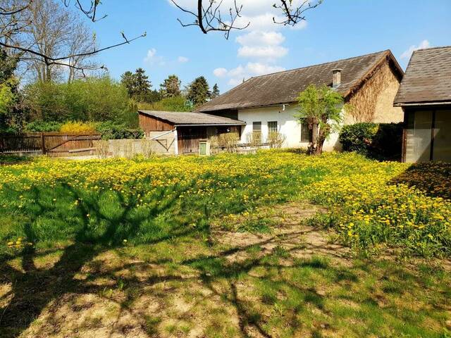Immobilie in Leobersdorf - Bauernhaus mit zwei Wohneinheiten   Nebengebäude! - Bild 0