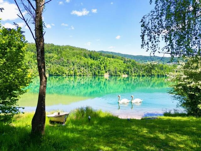 Immobilie in Feistritz im Rosental - Leistbarer Wohntraum im Rosental - Charmante Haushälfte mit Büro, begehbarem Kleiderschrank und großzügiger Garage - Bild 0