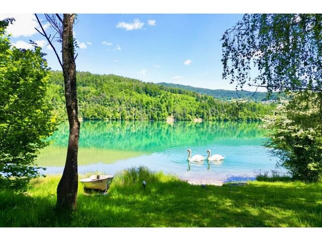 Immobilie in Feistritz im Rosental - Leistbarer Wohntraum im Rosental - Charmante Haushälfte mit Büro, begehbarem Kleiderschrank und großzügiger Garage - Bild 3