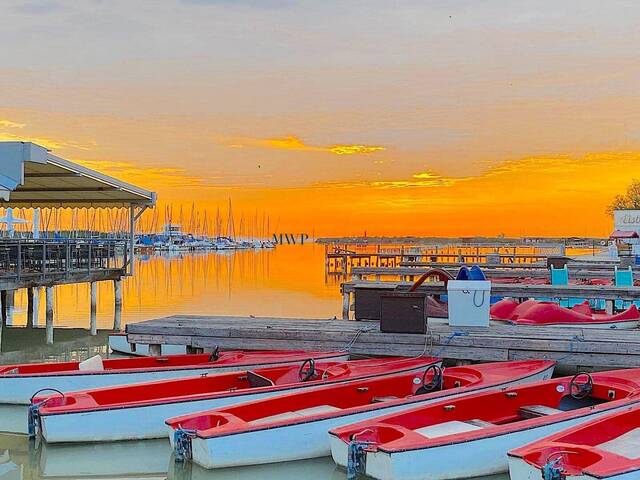 Immobilie in Rust - 45 m² Holzmobilhaus auf einer 180 m² Doppelparzelle – Ihr Sommertraum um knapp 400€/Monat - Bild 4