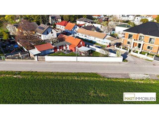 Immobilie in Maria Ellend - Einfamilienhaus in Maria Ellend mit sonnigen Garten in Südausrichtung - Bild 0
