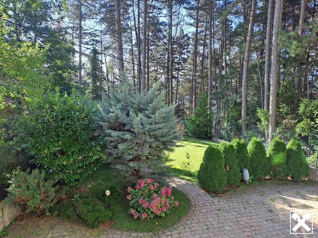 Immobilie in Oberhöflein - TOP LAGE zwischen Hohe Wand und Schneeberg: Einmalige Immobilie - Bild 2