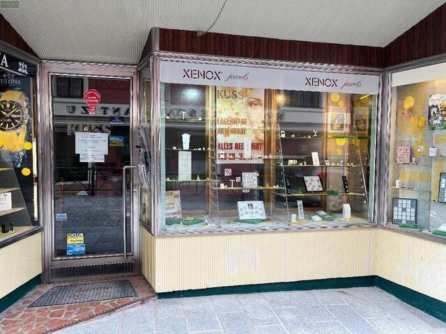 Immobilie in Mariazell - MARIAZELL - STADTHAUS mit Geschichte und der Möglichkeit Forstkommune (WALD) - Anteile mit zu kaufen! - Bild 4