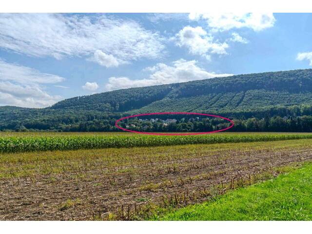 Immobilie in Fahrafeld - Idyllisches Landhaus in Wohnsiedlung am Waldesrand mitten im Triestingtal, südliches Bergland vor Wien - Bild 1