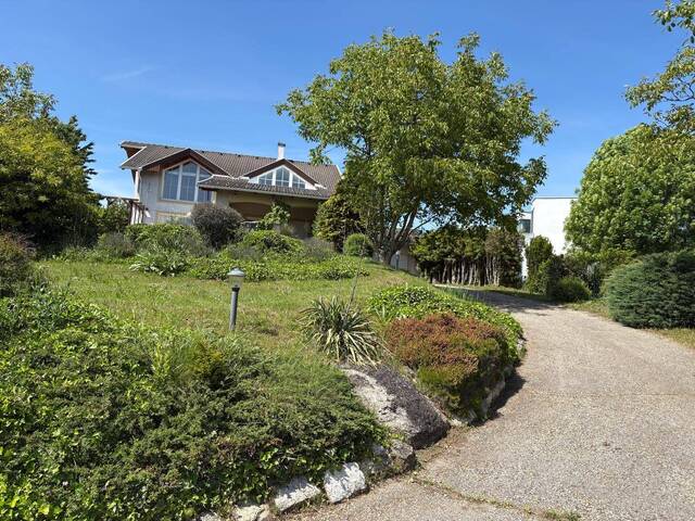 Immobilie in Breitenbrunn - Ruheoase mit Seeblick - großzügiges Einfamilienhaus über dem Pusztawohnpark in Breitenbrunn - Bild 1