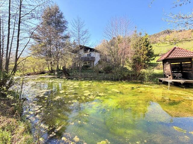 Immobilie in Ludmannsdorf - Ferienhaus mit weitläufigem Grundstück, Schwimmteich und natürlichem Wasserlauf - Bild 0