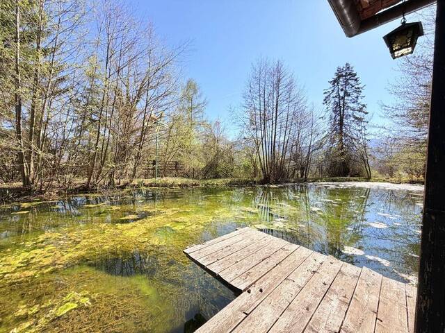 Immobilie in Ludmannsdorf - Ferienhaus mit weitläufigem Grundstück, Schwimmteich und natürlichem Wasserlauf - Bild 4