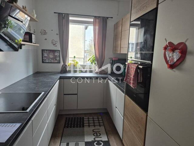 Immobilie in Haunoldstein - Moderne Doppelhaushälfte in Haunoldstein mit Garten und überdachter Terrasse! - Bild 2