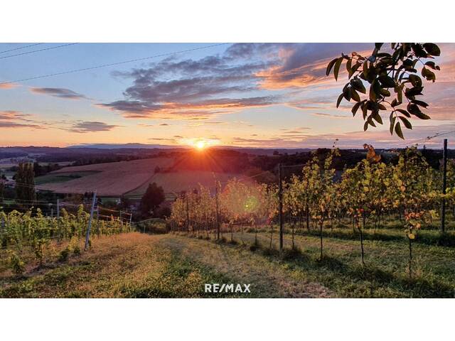 Immobilie in Bad Radkersburg - IN SLOWENIEN! Winzerhaus mit Weingarten und Blick bis zum Horizont! - Bild 0
