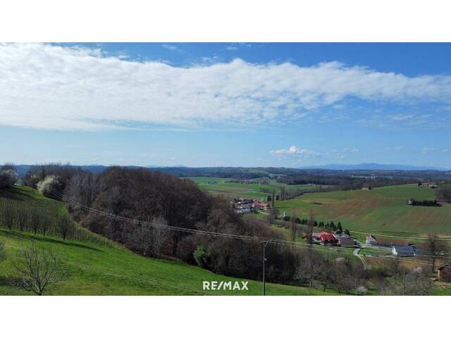 Immobilie in Bad Radkersburg - IN SLOWENIEN! Winzerhaus mit Weingarten und Blick bis zum Horizont! - Bild 1