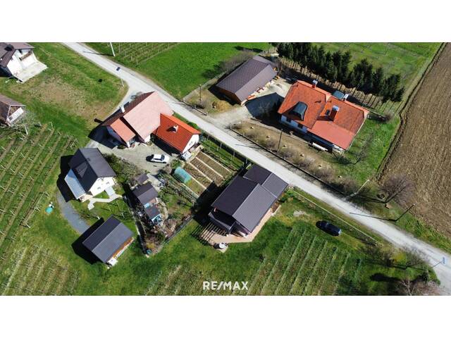 Immobilie in Bad Radkersburg - IN SLOWENIEN! Winzerhaus mit Weingarten und Blick bis zum Horizont! - Bild 4
