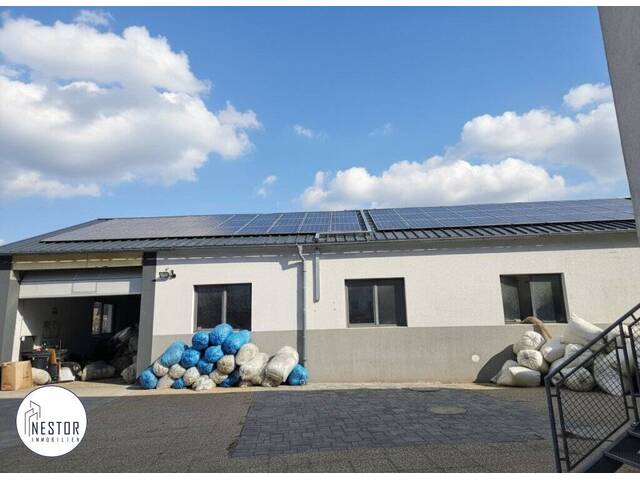 Immobilie in Harmannsdorf - Haus mit Betriebsgebäuden & vielseitigem Nutzungspotenzial im Bezirk Korneuburg - Bild 4