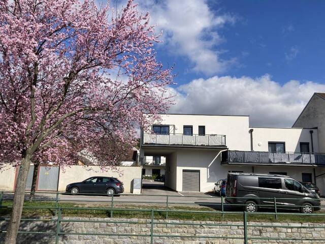Immobilie in Poysdorf - Neubau in Poysdorf: 4 Zimmer, Deckenkühlung Terrasse – Direkt vom Eigentümer (0% Provision) - Bild 0