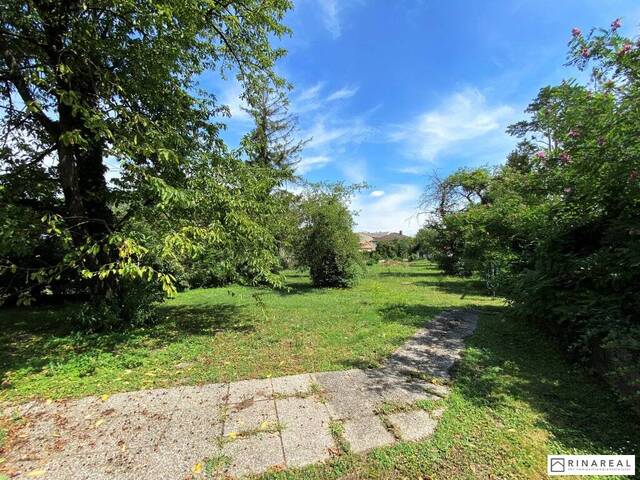 Immobilie in Wienerherberg - Grund mit ca. 2.305 m² | Sanierungsbedürftiges Haus | separate Doppelgarage | Wienerherberg - Bild 0