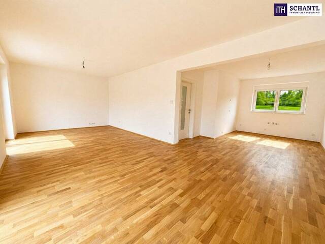 Immobilie in Rohrbach - Modernes Doppelhaus nahe Graz – Garten, Keller & schneller Baustart sichern! - Bild 4