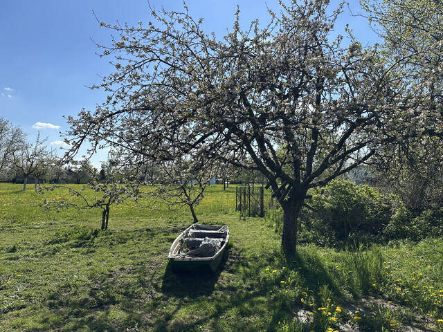 Immobilie in Ostermiething - Einfamilienhaus mit großem Garten - Bild 3