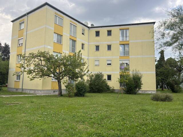 Immobilie in Ebenfurth - Sofort verfügbar - helle 2-Zimmer-Wohnung mit idealer Raumaufteilung - Bild 4
