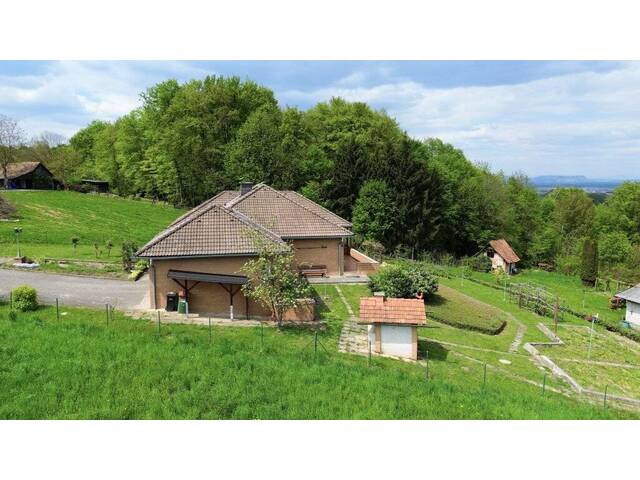 Immobilie in Graßnitzberg - Bungalow am Graßnitzberg - Bild 3