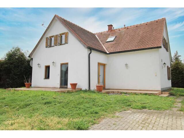 Immobilie in Bachsdorf - Einfamilienhaus mit großem Grundstück | Wirtschaftsgebäude - Bild 1