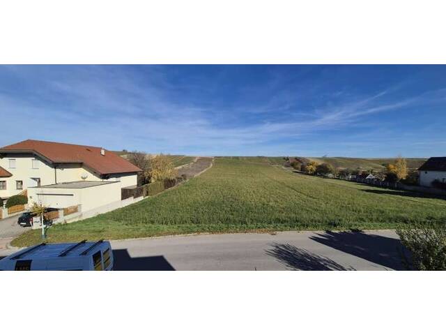 Immobilie in Auersthal - Erstbezug in Auersthal: unterkellerte Doppelhaushälfte mit mehr als 150 m² Wohnfläche und Garage - Bild 2