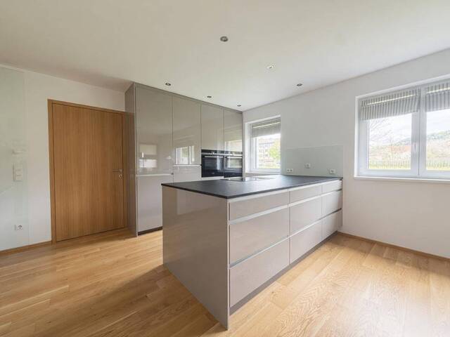 Immobilie in Gaißau - Einfamilienhaus | Modern | Gaissau | Grenznah - Bild 3