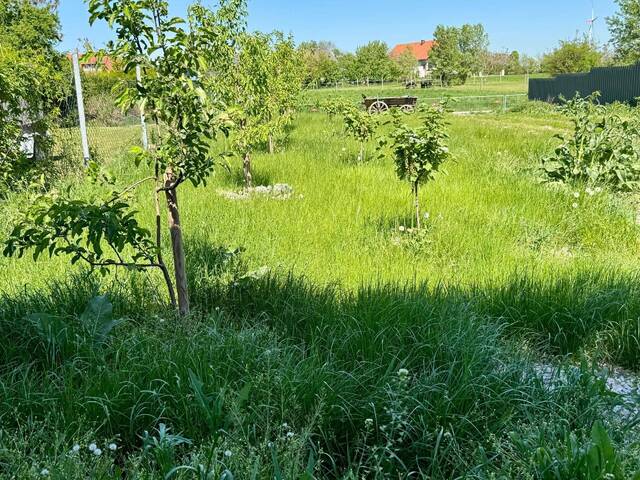 Immobilie in Prellenkirchen - Exklusives Liegenschaft mit zwei Wohneinheiten, Pool, Zwei Terrassen und hochwertiger Ausstattung 20 Minuten von Bratislava und nahe Wien - Bild 4