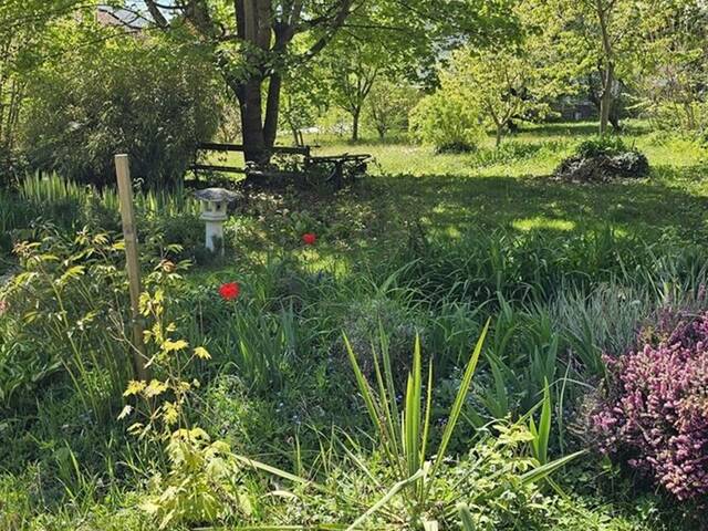 Immobilie in Rohrbach an der Lafnitz - Werthaltiges wenig benütztes Haus mit schönem großen Garten in idyllischer Waldrandlage! - Bild 0