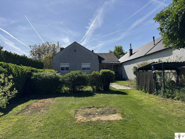 Immobilie in Andau - Einfamilienhaus in Andau: Eintreten, ankommen, wohlfühlen - Bild 3