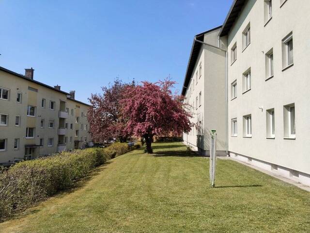 Immobilie in St. Florian - Optimal geschnittene 2,5-Zimmer-Wohnung in ruhiger, gut angebundener Lage in St. Florian - Bild 0