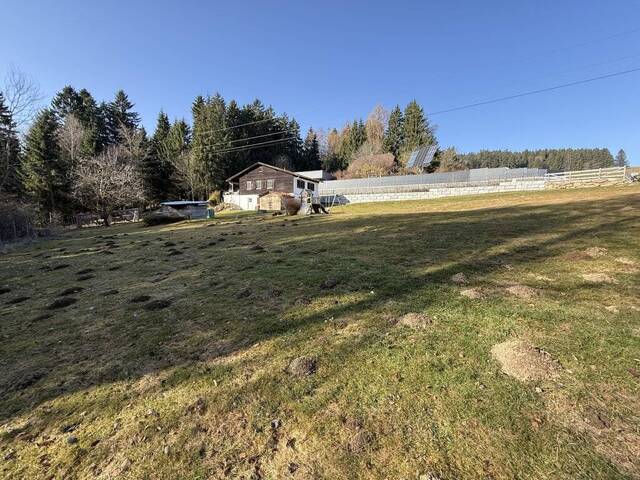 Immobilie in Lichtenberg - Naturparadies (rd. 4.300 m²) mit Zweitwohnsitzwidmung nahe der GIS in Lichtenberg - Bild 4