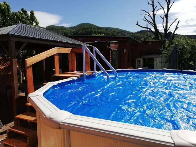 Immobilie in Hainfeld - GANZJÄHRIG BEWOHNBAR!Pflegeleichter Garten mit Pool, Vollholzhaus Lärche wird verkauft! - Bild 3